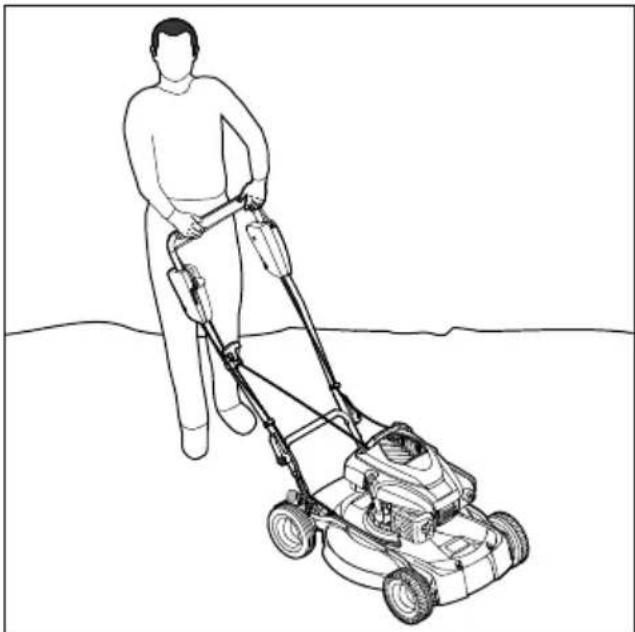 STIHL RM 4 RV - Mulching - 1
