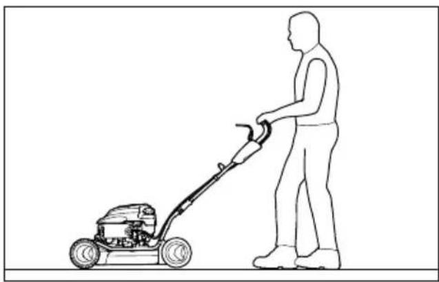 STIHL RM 2 RT - Allesilppuava leikkuu - 1