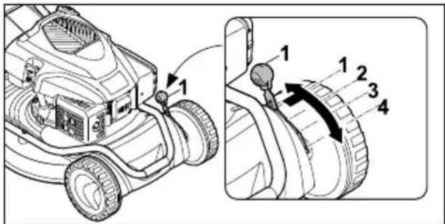 STIHL RM 2 RT - PPEyPExKdEHN - 1