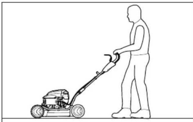 STIHL RM 2 RT - Requirements for good mulching results: - 1