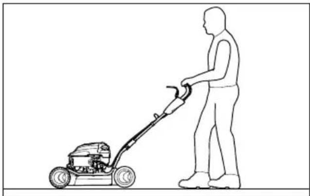 STIHL RM 2 RT - PekytBpaHe - 1