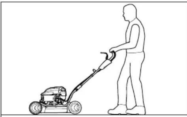 STIHL RM 2 RT - Mulčovanie - 1