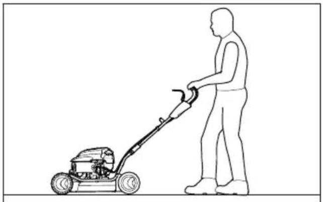 STIHL RM 2 RT - Justere klippehoyden - 1