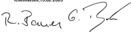 SCHEPPACH 1901304904 - EG-Konformitätserklärung - 1