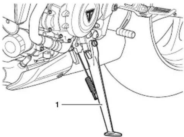 TRIUMPH Daytona Moto2 765 (2021) - Avertissement - 1
