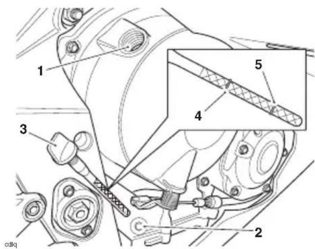 TRIUMPH Daytona Moto2 765 (2021) - Attention - 1