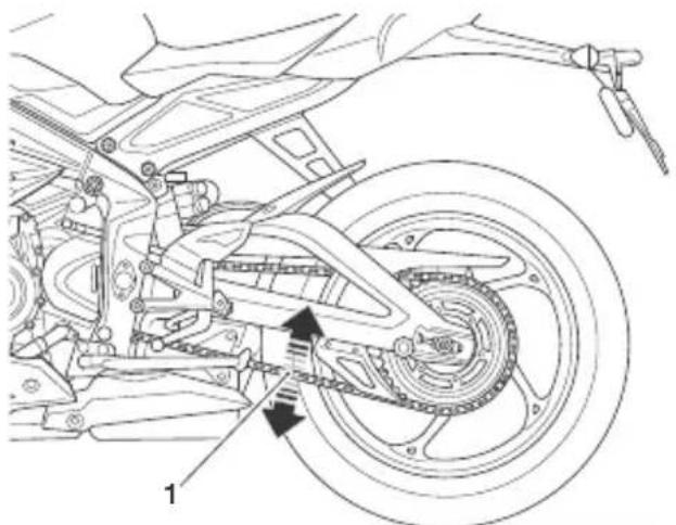 TRIUMPH Daytona Moto2 765 (2021) - Avertissement - 1
