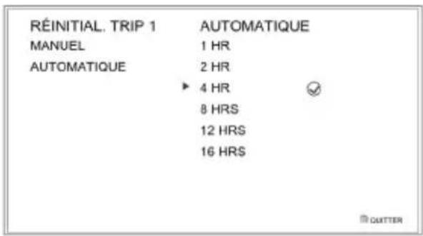 TRIUMPH Daytona Moto2 765 (2021) - Configuration Totalisateur partiel - Réinitialisation automatique - 1