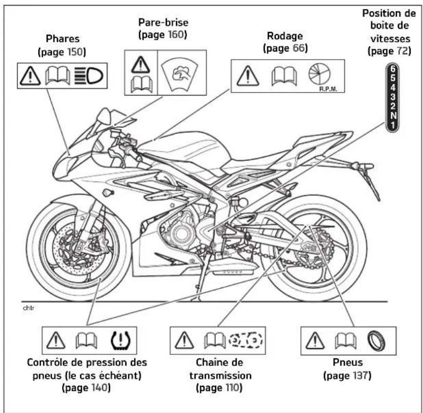 TRIUMPH Daytona 675 R (2016) - ÉTIQUETTES D'AVERTISSEMENT - 1