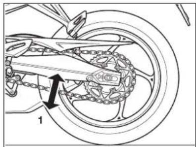 TRIUMPH Daytona 675 R (2016) - Entretien et réglage - 1