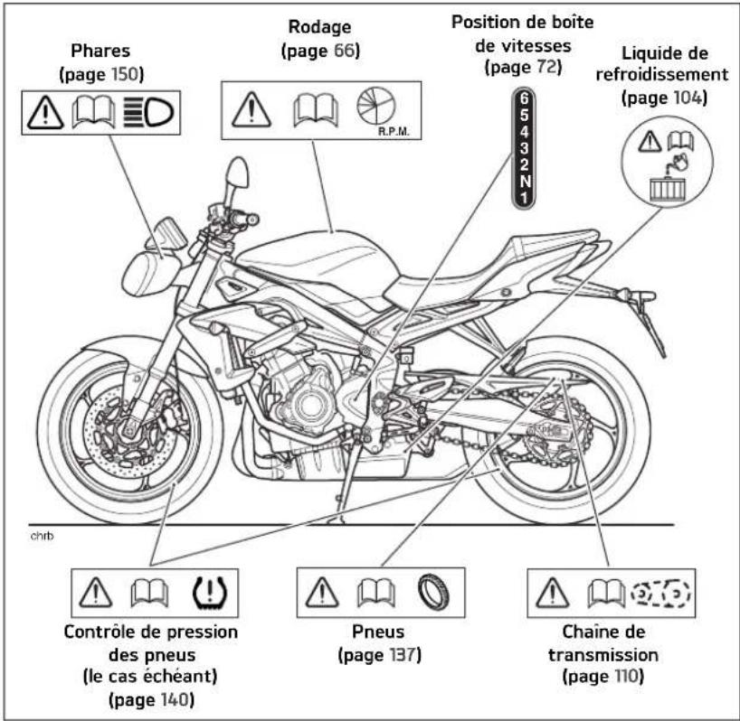 TRIUMPH Daytona 675 R (2016) - Étiquettes d'avertissement - 1