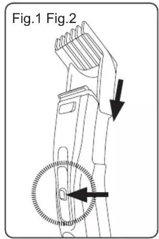 Fig.1 Fig.2