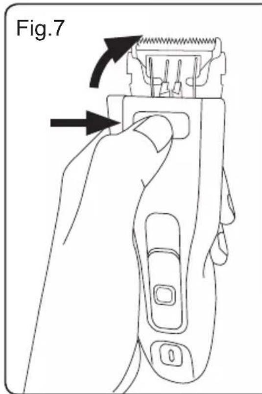 Fig.7