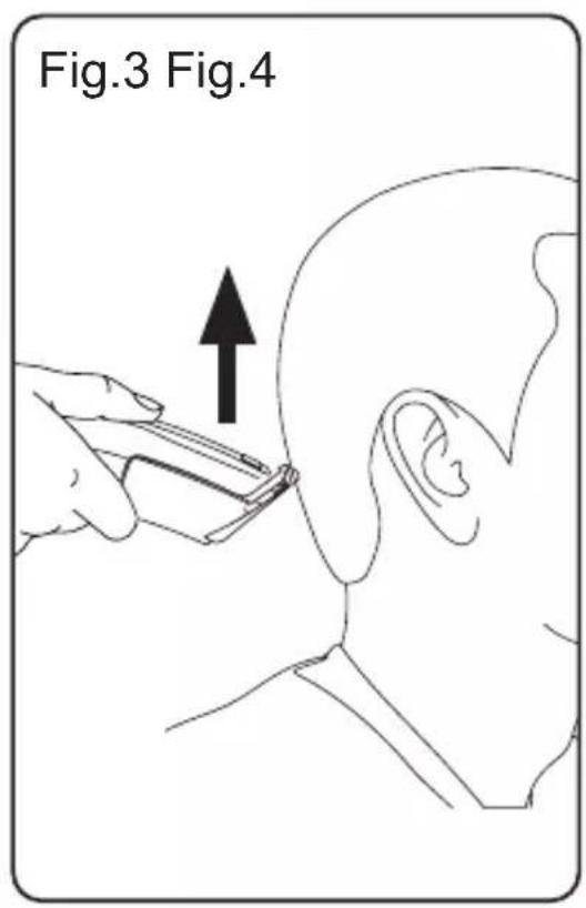 Fig.3 Fig.4