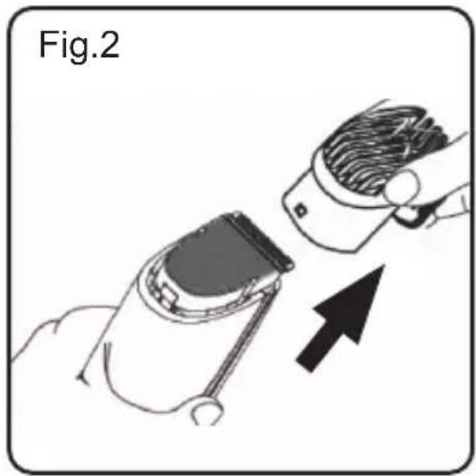 Fig.2