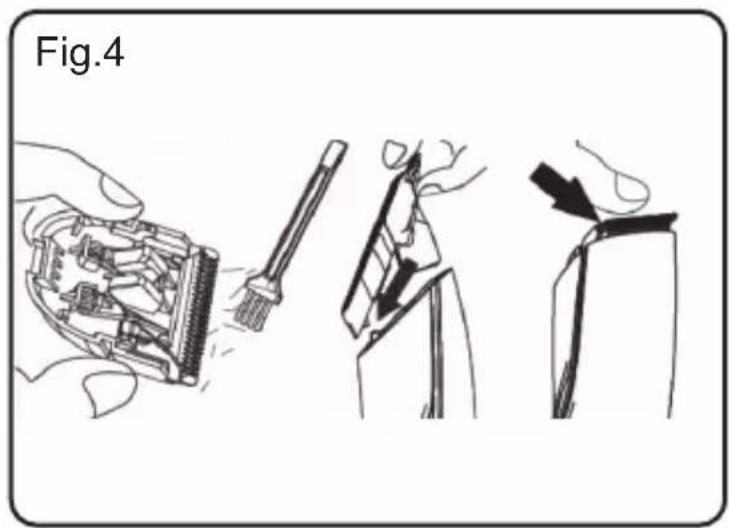 Fig.4