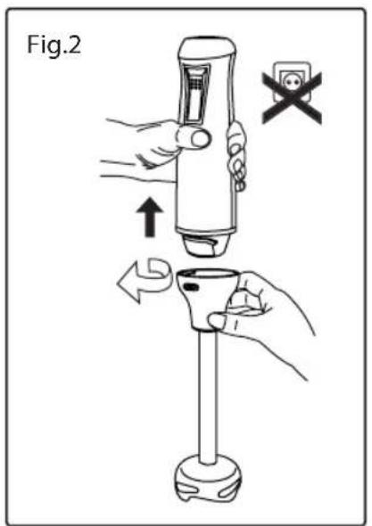 Fig.2