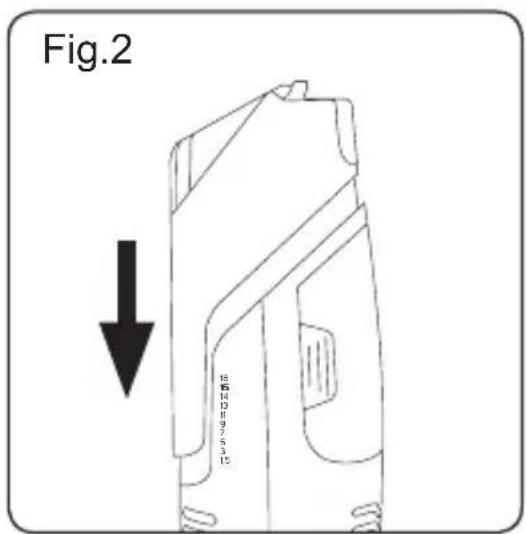 Fig.2 BISCHEDDYSIC