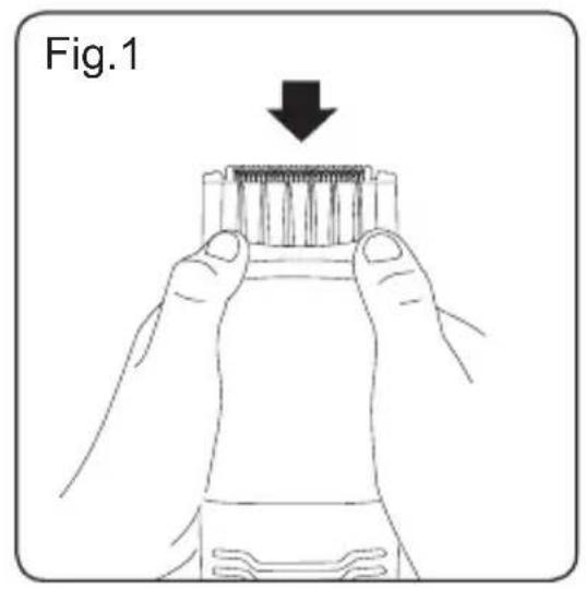 Fig.1