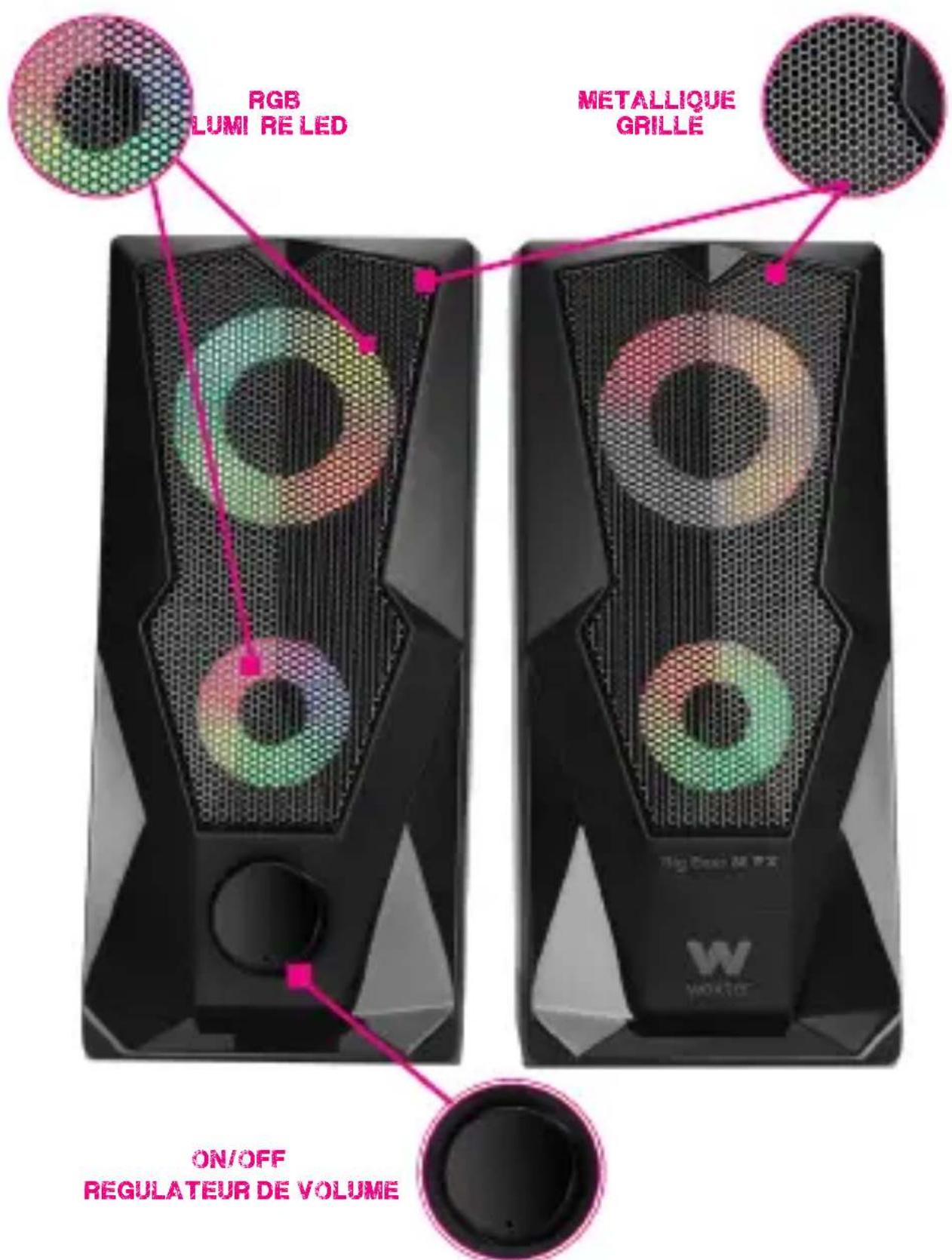 WOXTER Big Bass 80 FX - Spécifications du produit - 1
