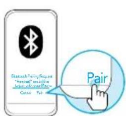 soundcore Spirit X2 - 当机与Bluetooth 脚码 - 4