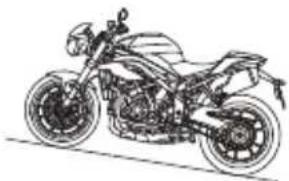TRIUMPH Speed Triple 1050 RS (2021) - Avertissement - 3