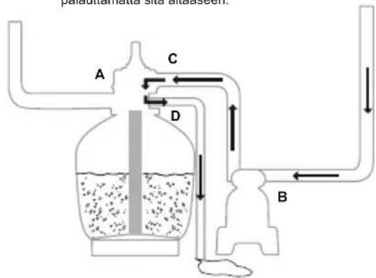 palatarnata std bradson. A C D B