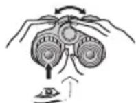 NIKON Prostaff P7 - ■CF: Binoclu cu focalizare centrala Binoclu cu inelul de reglaj dioptic situat pe ocularul drept. - 1