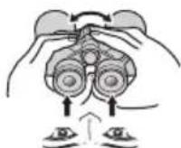 NIKON Prostaff P7 - Diopter adjustment - 7