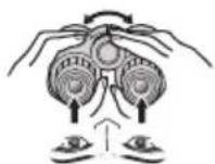 NIKON Prostaff P7 - ■CF: Binoclu cu focalizare centrala Binoclu cu inelul de reglaj dioptic situat pe ocularul drept. - 3