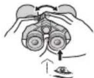 NIKON Prostaff P7 - DnontpnHna HacTpoKa - 5