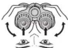 NIKON Prostaff P7 - Adjusting interpupillary distance - 1