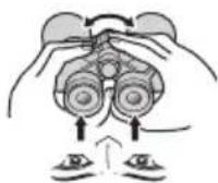 NIKON Prostaff P7 - ■CF: Binoclu cu focalizare centrala Binoclu cu inelul de reglaj dioptic situat pe ocularul drept. - 7