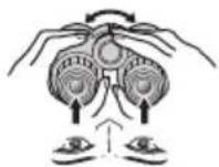 NIKON Prostaff P7 - Diopterin saatäminen - 3