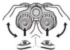 NIKON Prostaff P7 - Silmien pupillien välisen   etäisyyden säätäminen - 1