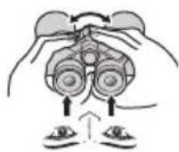 NIKON Prostaff P7 - Приимechане Равotas Спрыборов Ореты Урразовлия - 1