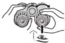 NIKON Prostaff P7 - DnontpnHna HacTpoKa - 2