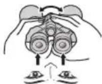 NIKON Prostaff P7 - CF キイフの双眼鏡 - 7