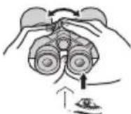 NIKON Prostaff P7 - CF キイフの双眼鏡 - 5