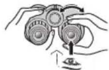 NIKON Prostaff P7 - CF キイフの双眼鏡 - 2