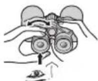 NIKON Prostaff P7 - ■CF: Binoclu cu focalizare centrala Binoclu cu inelul de reglaj dioptic situat pe ocularul drept. - 6