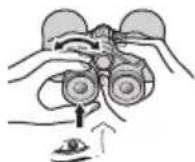 NIKON Prostaff P7 - Diopter adjustment - 6