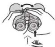 NIKON Prostaff P7 - Ajuste de dioptrias - 5