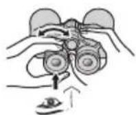 NIKON Prostaff P7 - Regolazione diottrica - 6