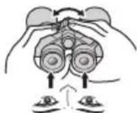 NIKON Prostaff P7 - Diopterin saatäminen - 7