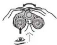 NIKON Prostaff P7 - DnontpnHna HacTpoKa - 1