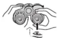 NIKON Prostaff P7 - ■CF: Binoclu cu focalizare centrala Binoclu cu inelul de reglaj dioptic situat pe ocularul drept. - 2