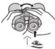 NIKON Prostaff P7 - Diopterjustering - 5