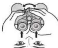 NIKON Prostaff P7 - Ajuste de dioptrias - 7