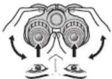 NIKON Prostaff P7 - 眼幅调整 - 1